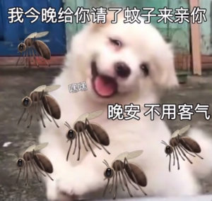 蚊子为什么总喜欢围着耳朵叫简单来说：呼吸的二氧化碳给蚊子指路，体表温度和耳周气味