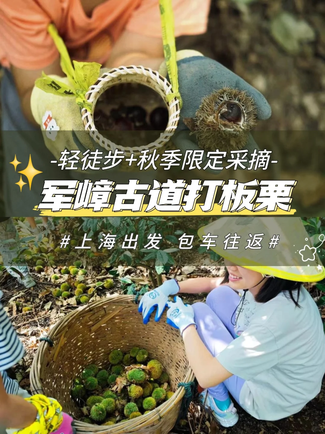 100出头‼️体验军嶂轻徒⛰️+打板栗🌰的快乐