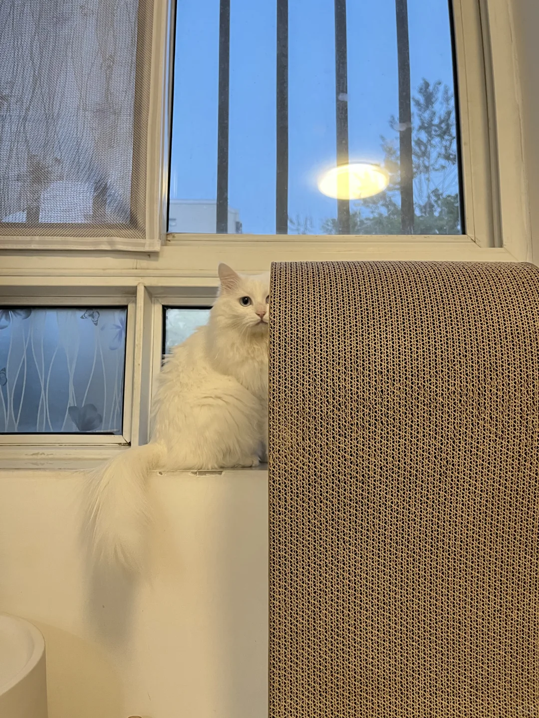犹抱琵琶半遮面啵