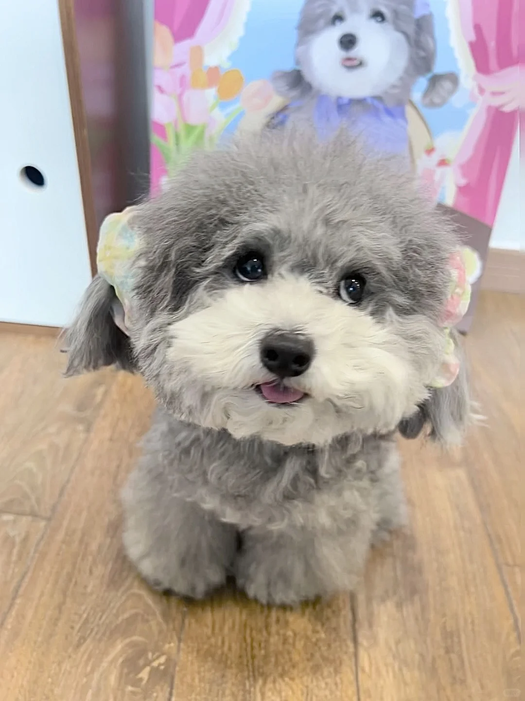 这小玩意儿是谁发明的