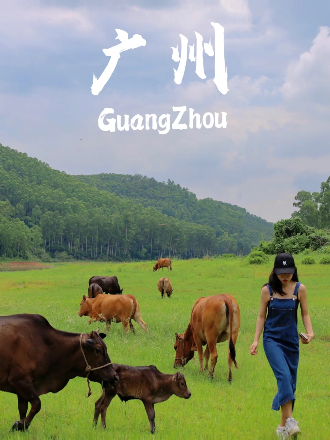 🌱广州这个草原露营地⛺️我再也不敢来了😭😭