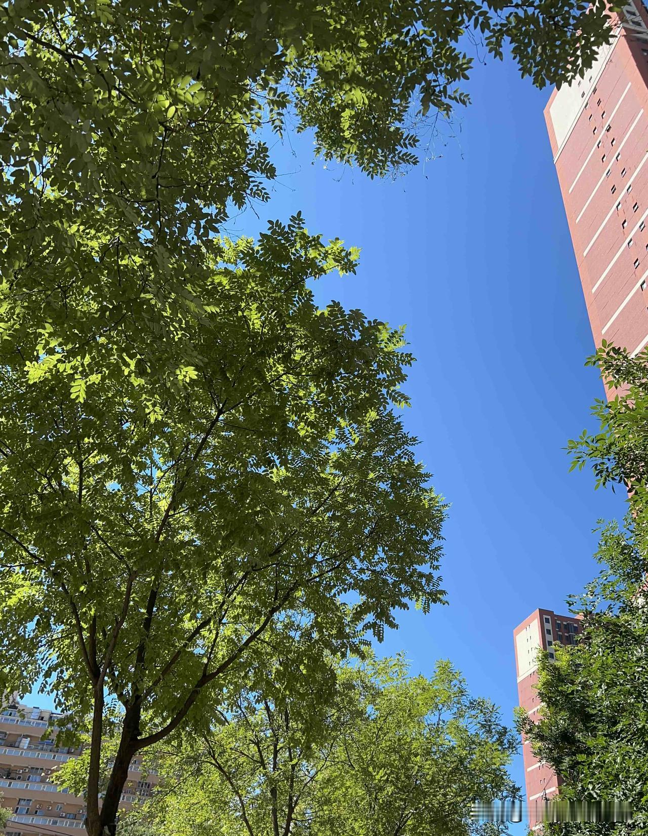 海淀区是北京市最卷的一个区，尤其在学院路有好几所知名大学，比如中国石油大学，北京