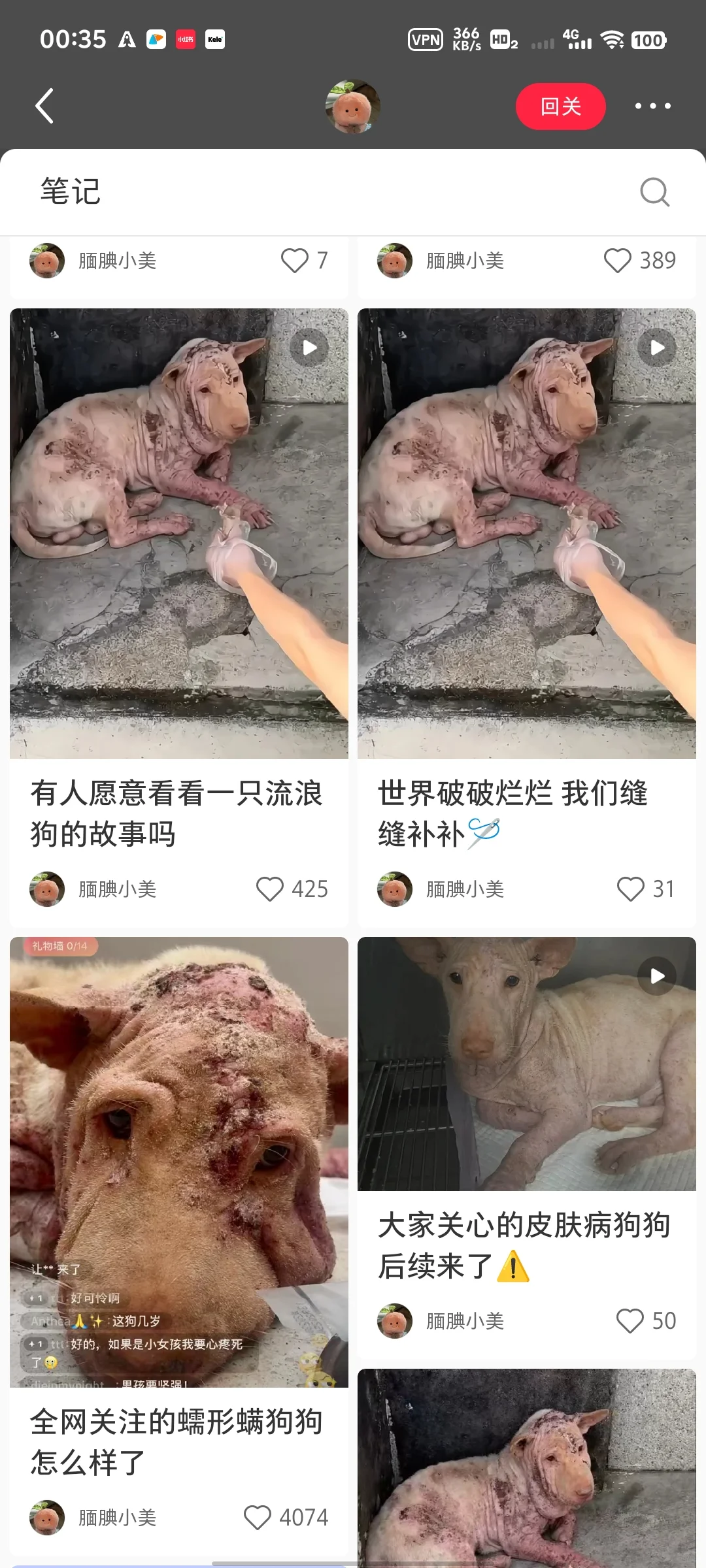 蜜蜂1岁，男孩，坐标汕尾陆丰，目前已治愈！现已正式开放领养，领养人不限...