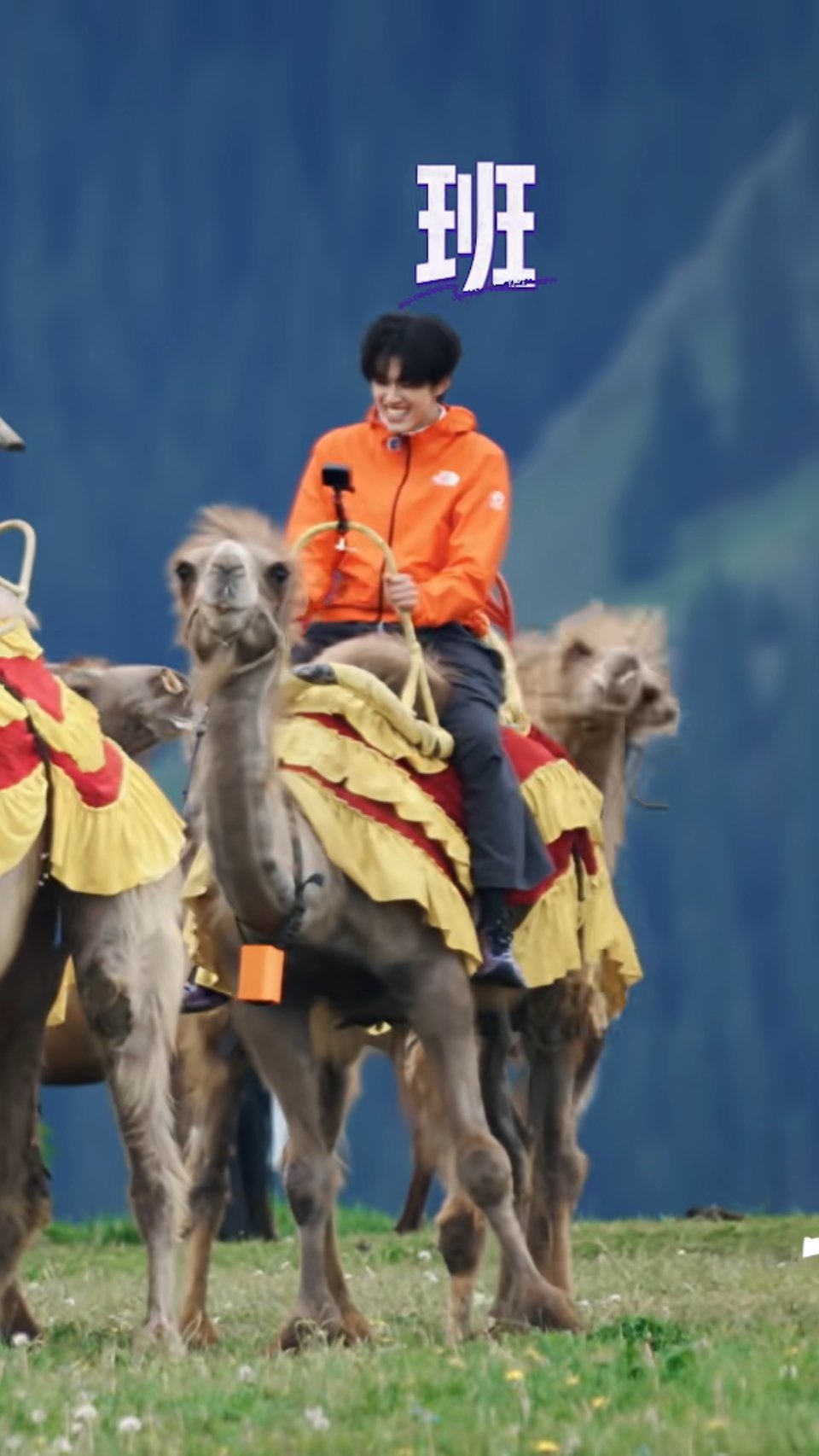米米的骑骆驼初体验🐫 ​​​