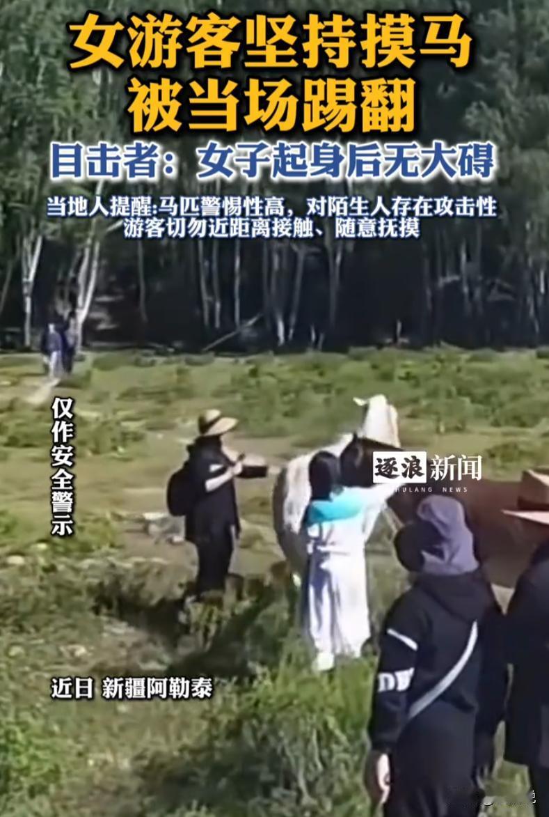 听人劝吃饱饭！新疆阿勒泰，一名女游客在草原游玩时，看到一匹双腿被绑住的马，在同行
