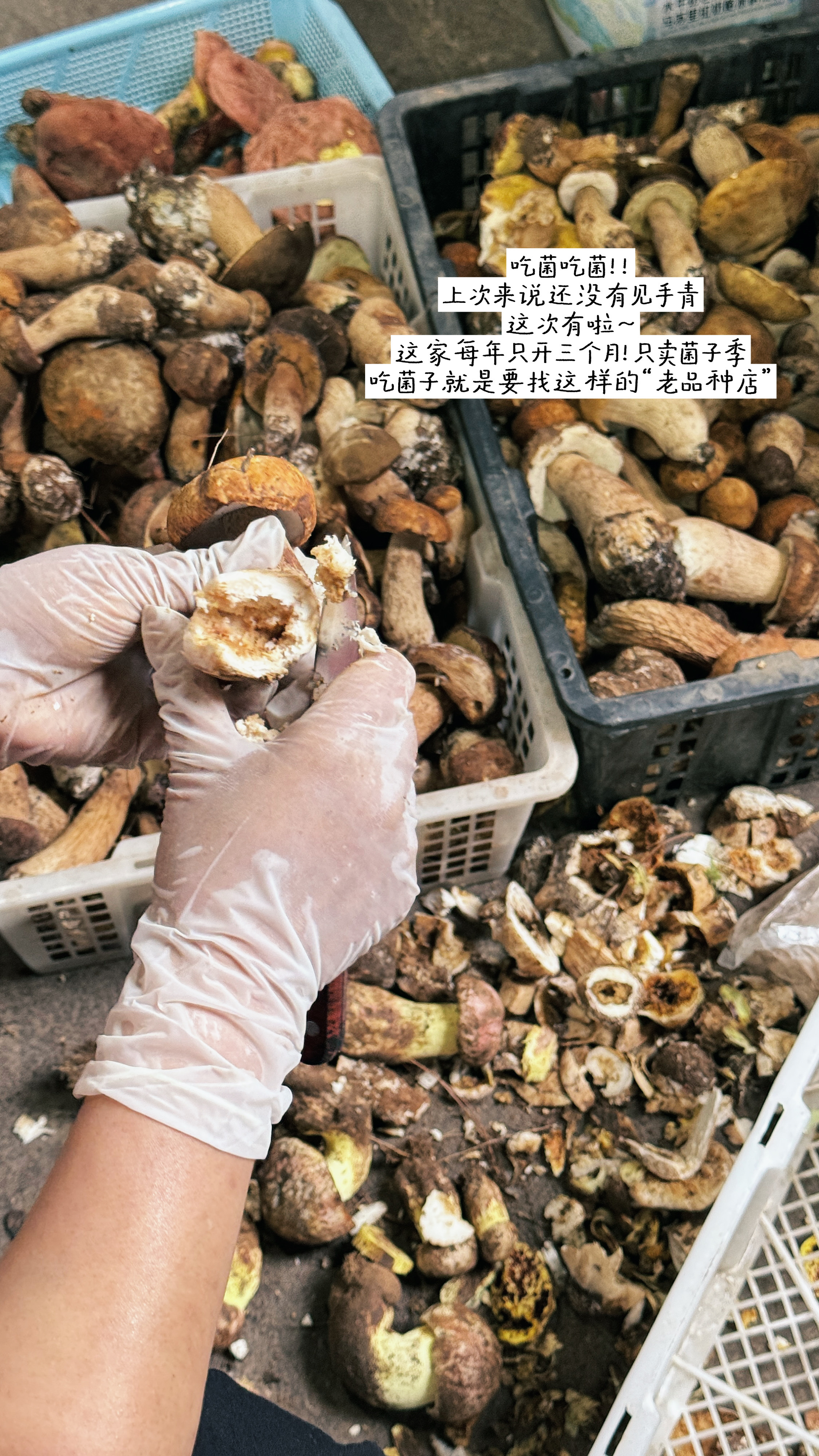 不要完全相信手掌的纹路要相信手攥成拳的力量[拳头]日常分享 ​​​