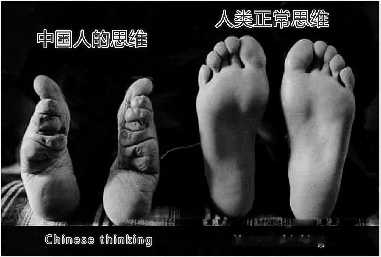 这个对比，是事实还是个偏见呢？