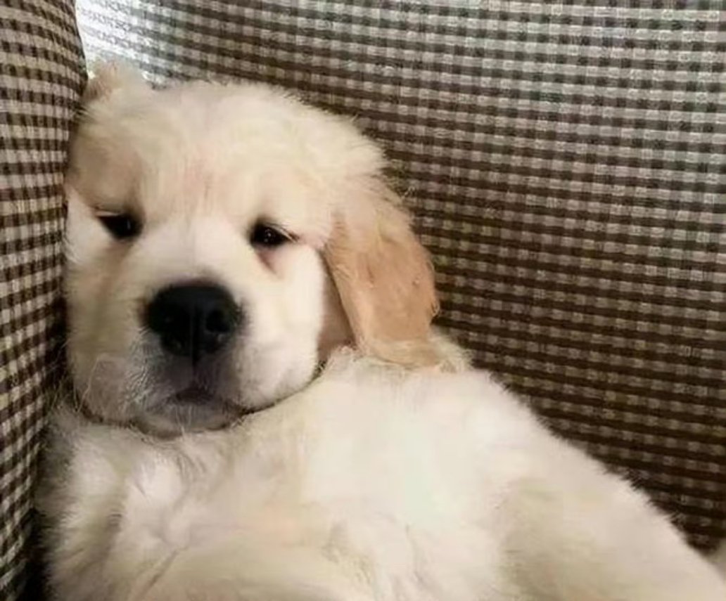 收摊！魔术vs骑士