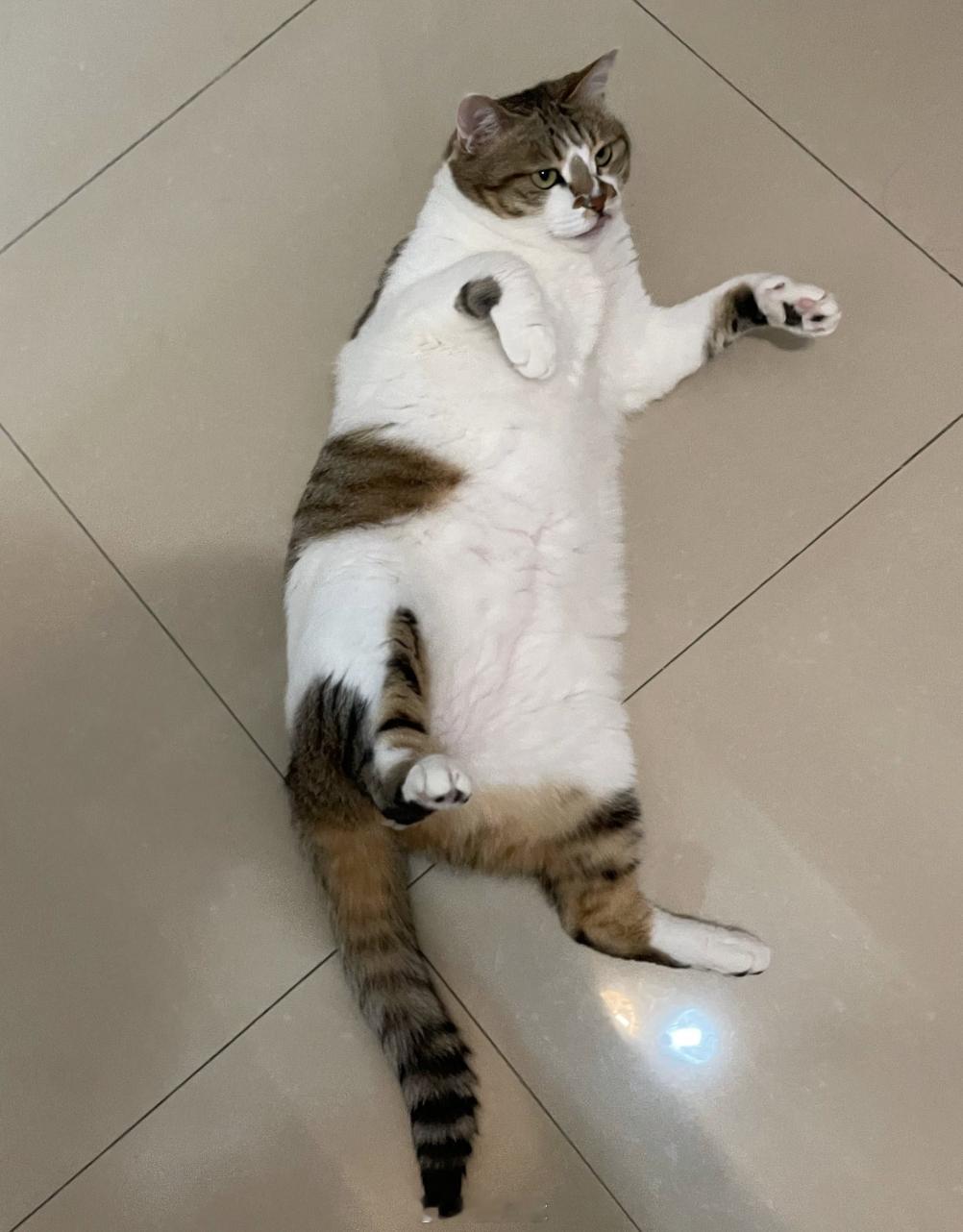 吨位