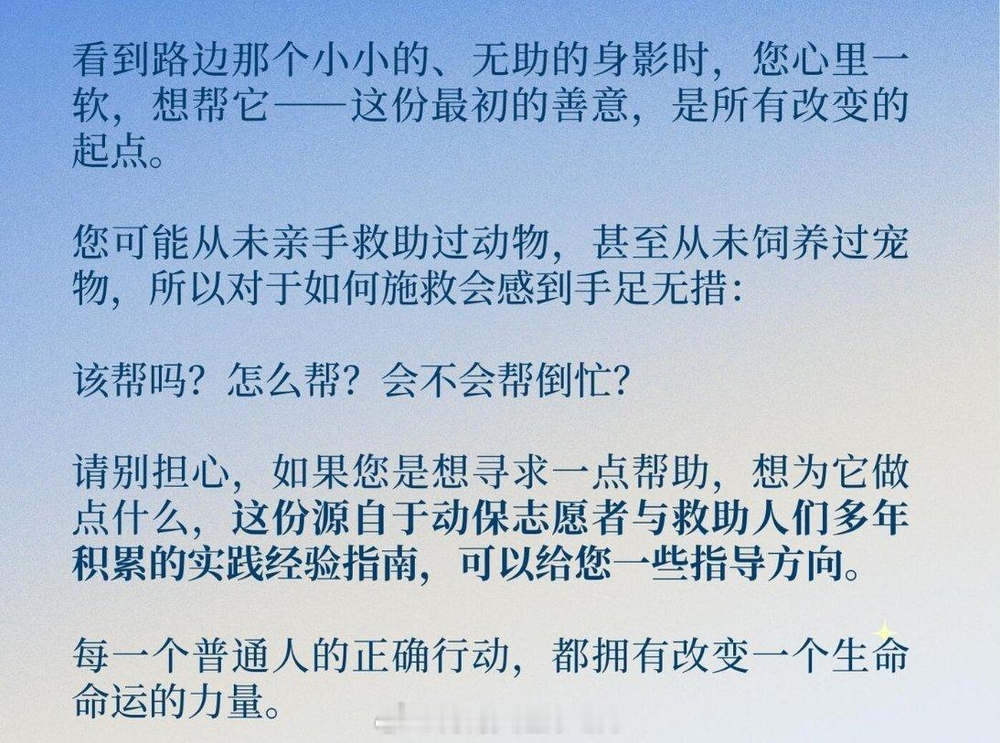 河南抗癌女生边治疗边救助流浪动物多地出现流浪猫狗庇护屋这位河南的小姐姐和爱心企业