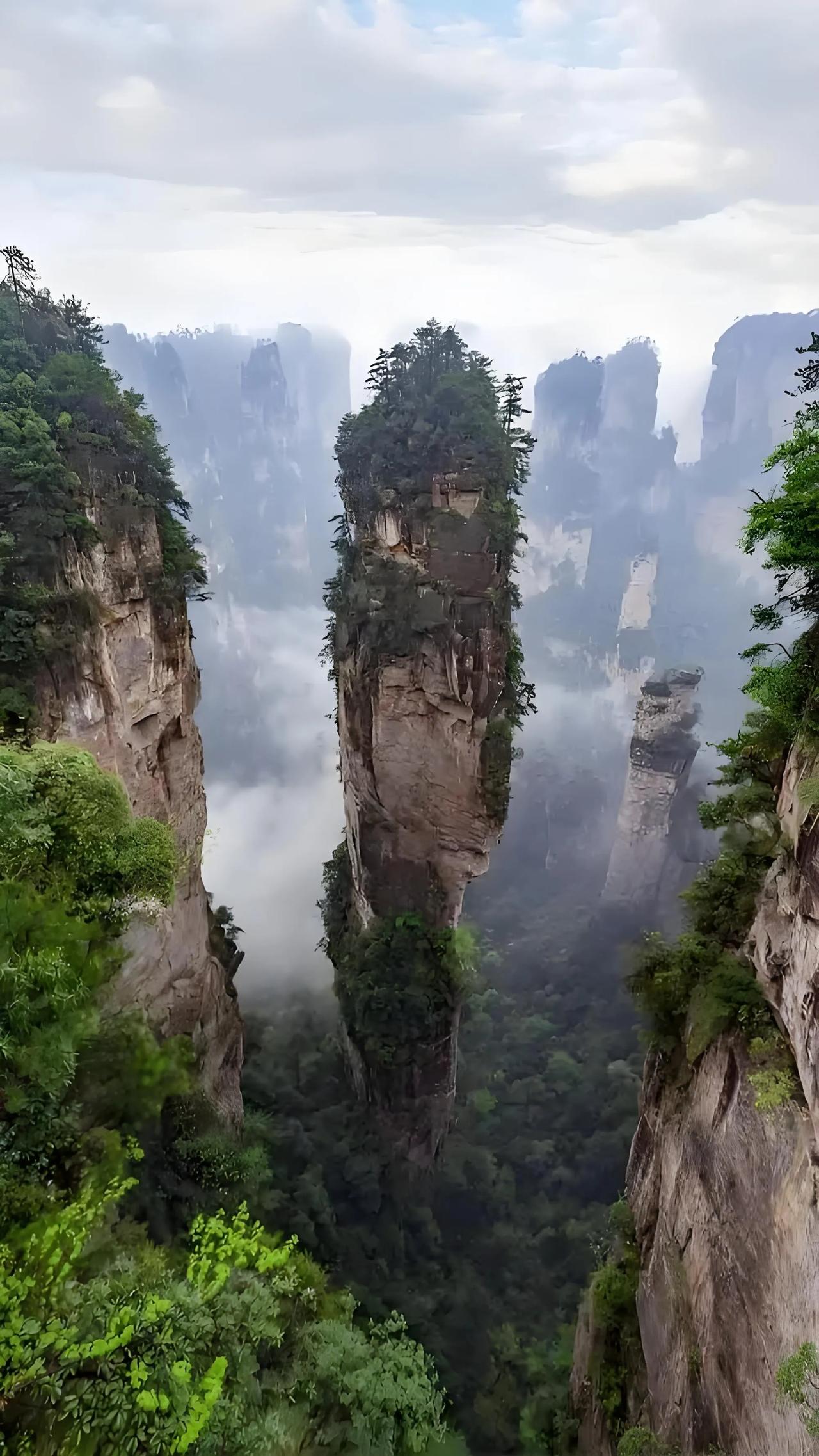 张家界上半年亏了6千万，如果张家界不收门票，也不需要管理，作为自然风景区，任凭游