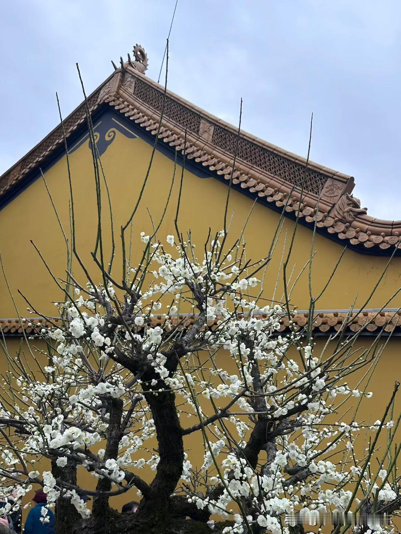 妈妈总是说不明白，两个人既然是夫妻，为什么到最后会搞得互不打扰，互不干涉，互不说