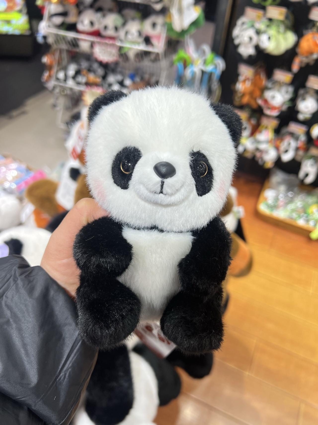 分享每日正能量永远有更好，当下便是最好。