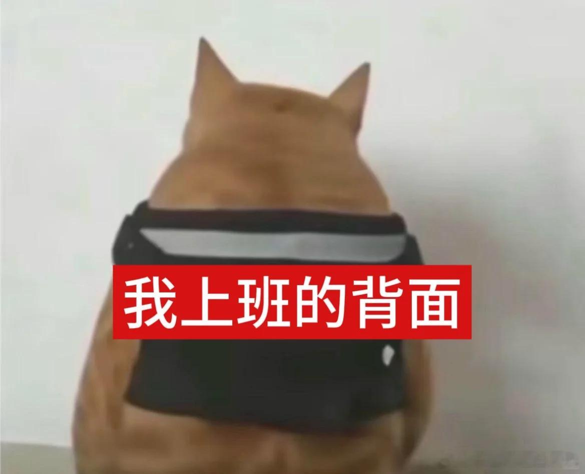 我上班时就这样……… 