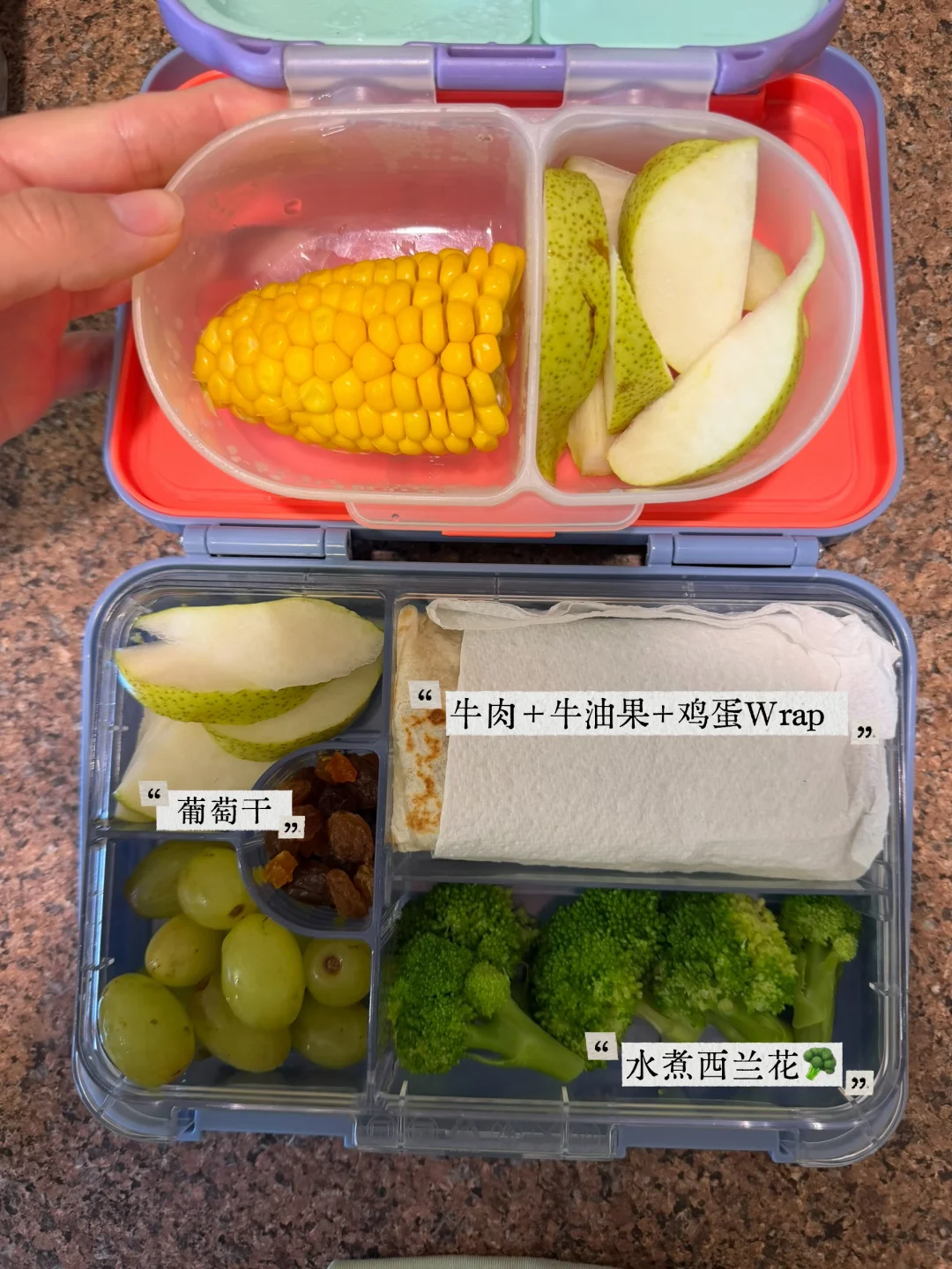 澳洲幼儿园Lunchbox系列