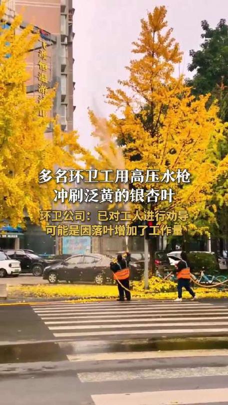 银杏叶满地金黄，本是秋冬日限定的浪漫。可眉山几位环卫工却抄起高压水枪，“突突突”