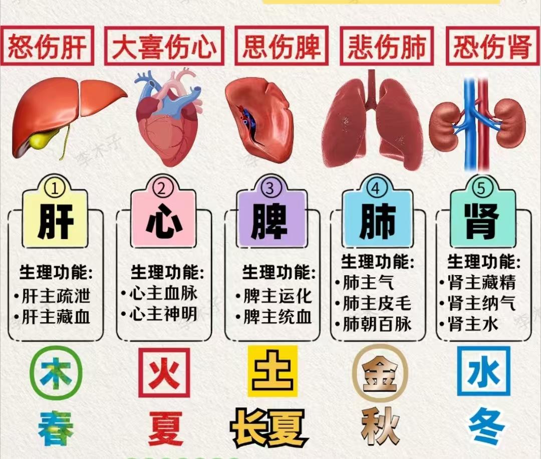 补五脏有顺序：木（肝）→火（心）→土（脾）→金（肺）→水（肾）

第一步，养肝血