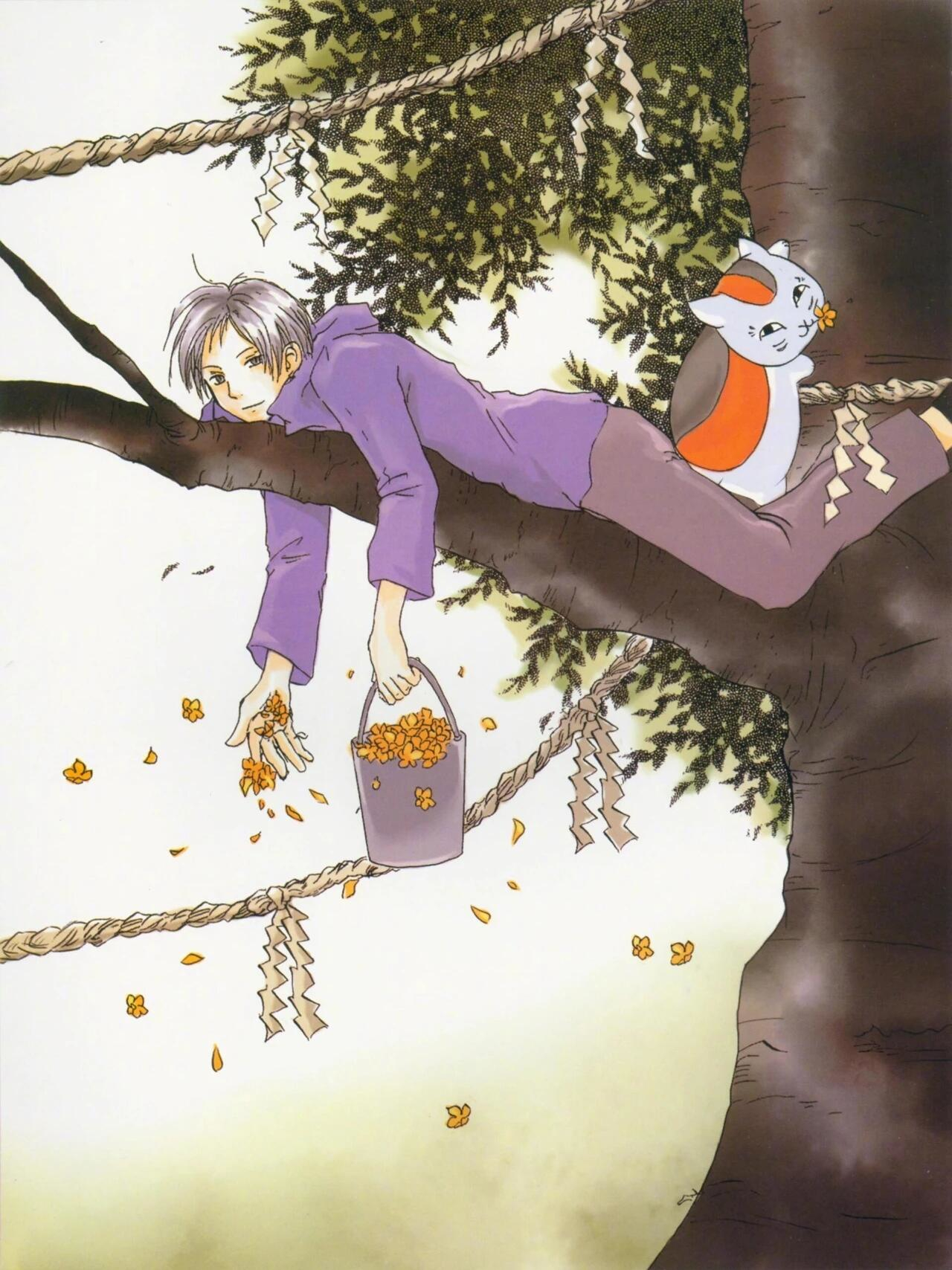 夏目友人帐夏目友人帐 原画集 