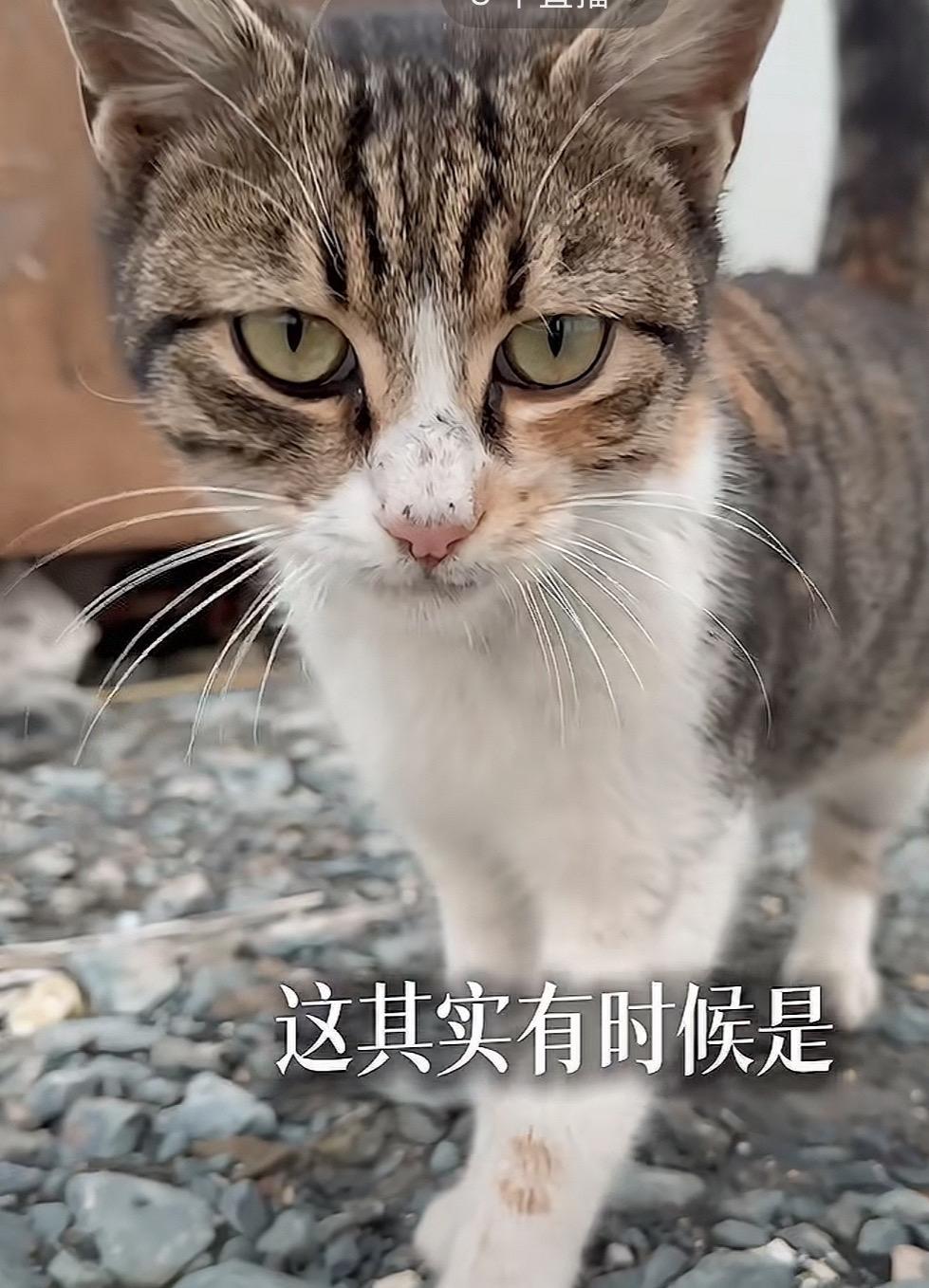 有些人最好不要生孩子