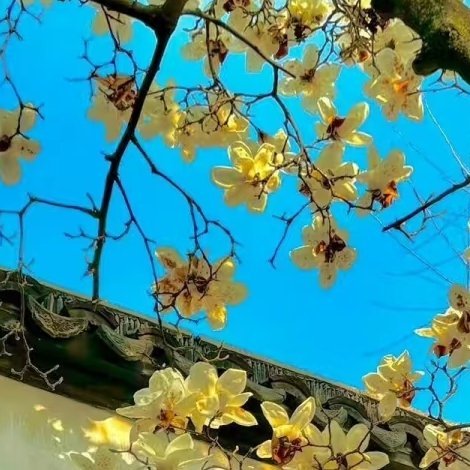 每一个黎明之前的夜，都是最沉静也最深远的时刻。也许你此刻正处在某种等待、某种焦虑