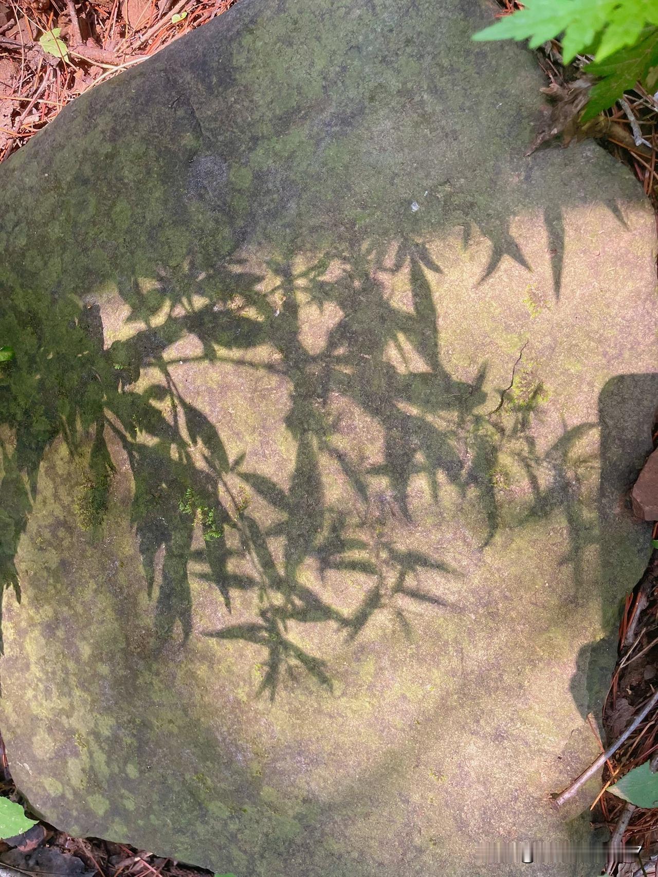 夏日去哪里爬山不晒呢？那最数棋盘山了，无论是左侧上驼峰的石阶路，还是右侧桃花谷到