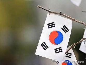 韩国人又想恢复汉字了，

不会又想打“申遗”主意吧？

12月18日，韩国主流媒