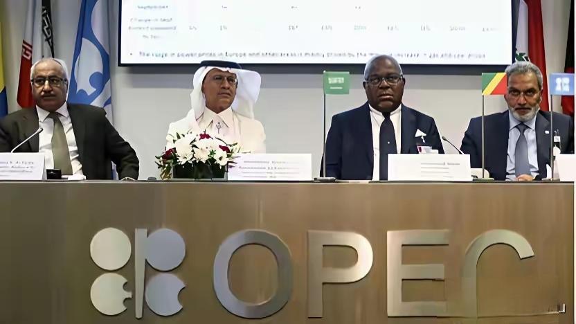 阿联酋突然退出OPEC，不是一时冲动，也不是单纯的“报复”，而是一场憋了好几年的