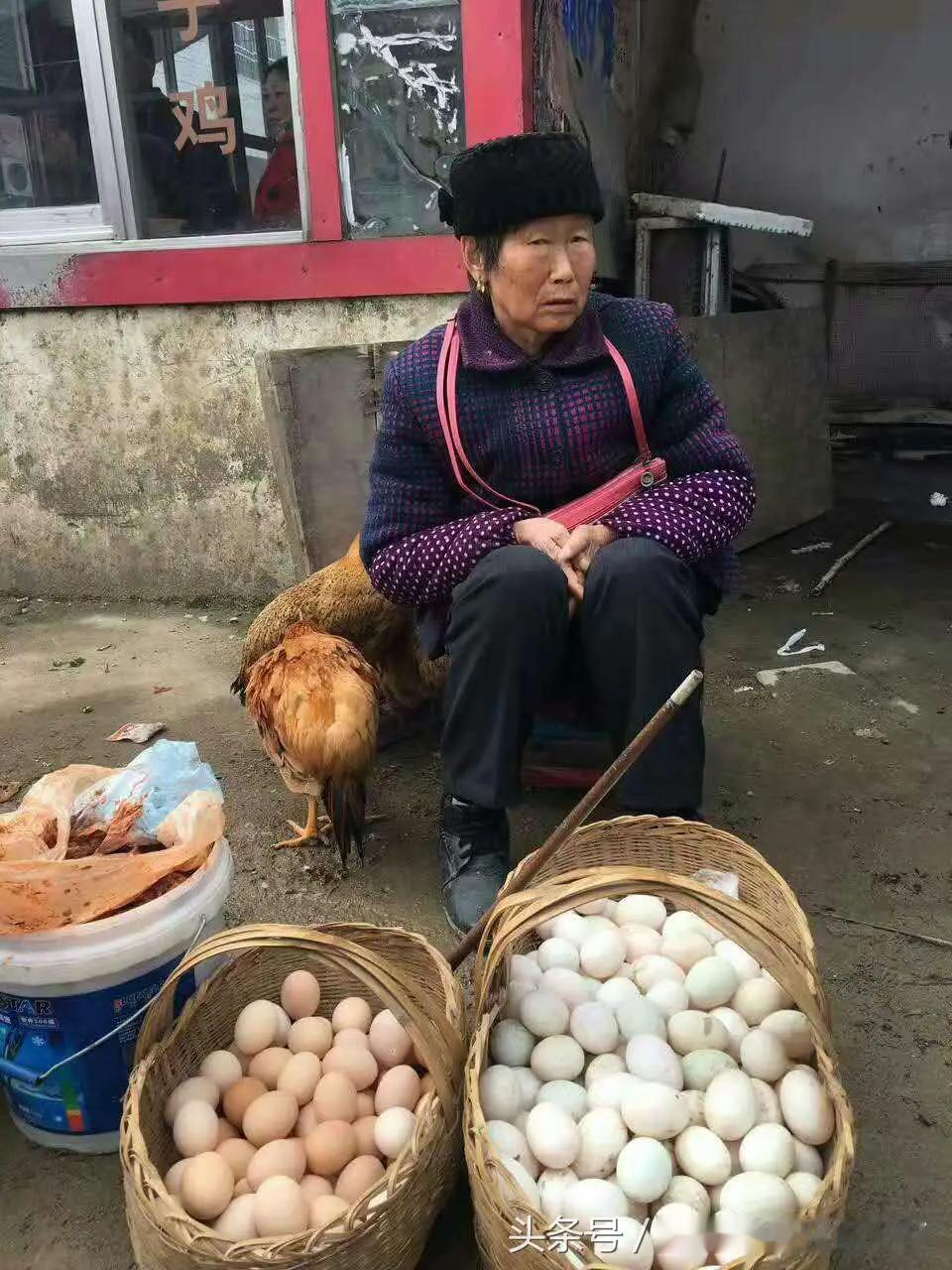 我是画家吴高龙。我从不贩卖焦虑，只是见不得不公、看不惯欺骗。当善良被拿来利用，社