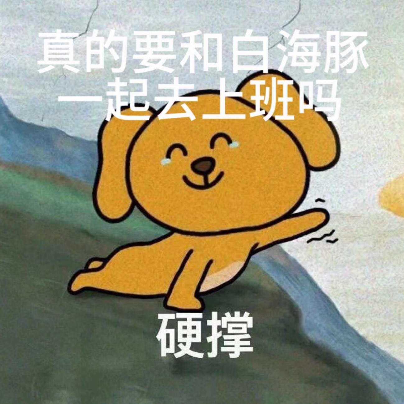 白海豚 上班  ⚠️避险要点⚠️1. 尽量待室内，远离窗户；玻璃贴米字形胶带防爆