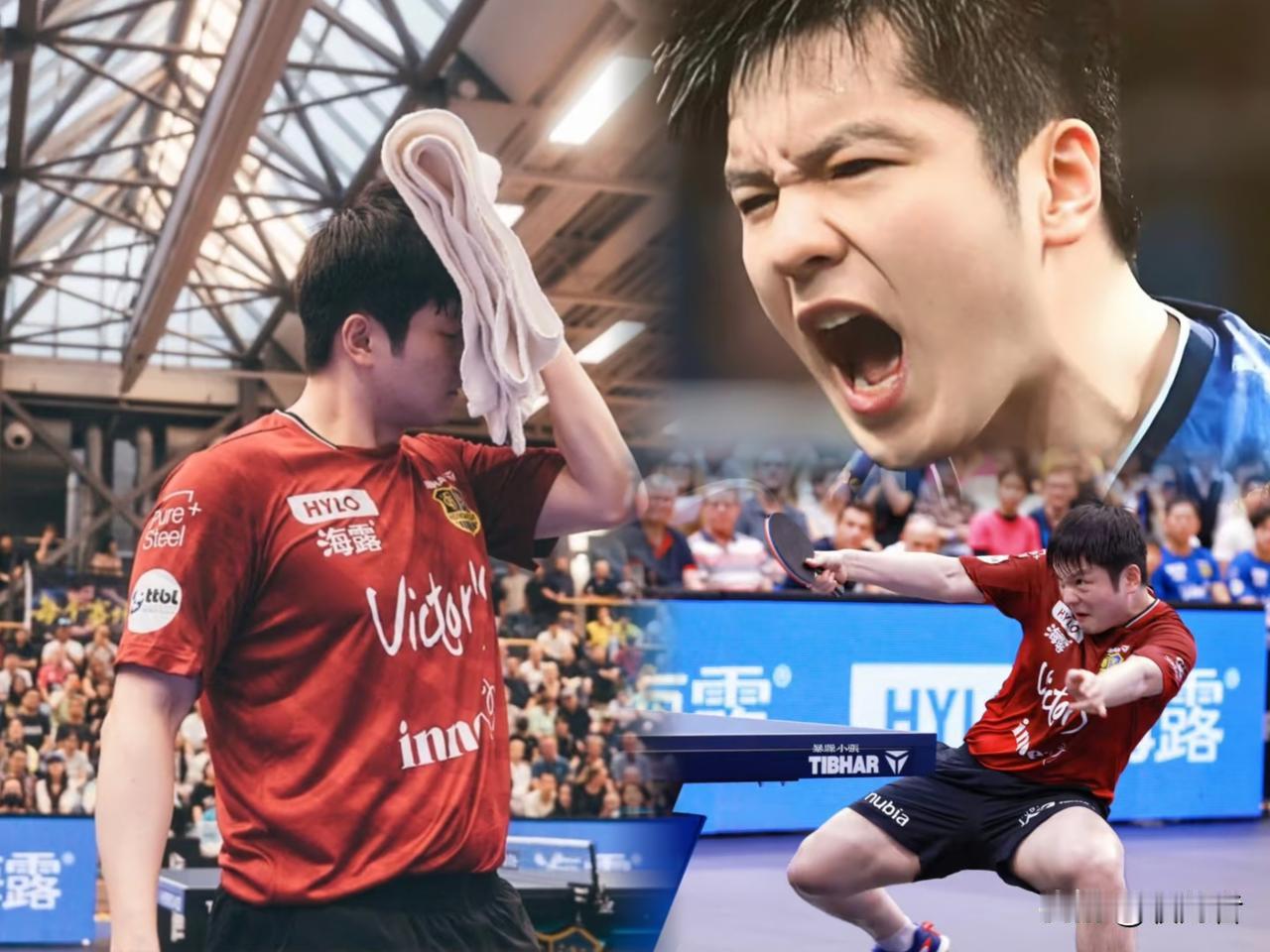 我宣布，
以后在也不看樊振东比赛了，
不是因为他打得差，也不是因为没看点，而是因