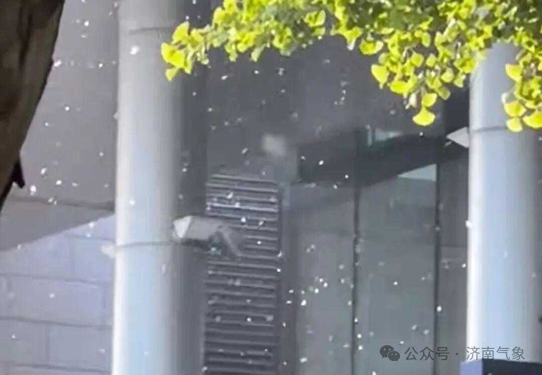 济南市园林和林业绿化局与济南市气象局2026年3月28日联合发布济南市2026年