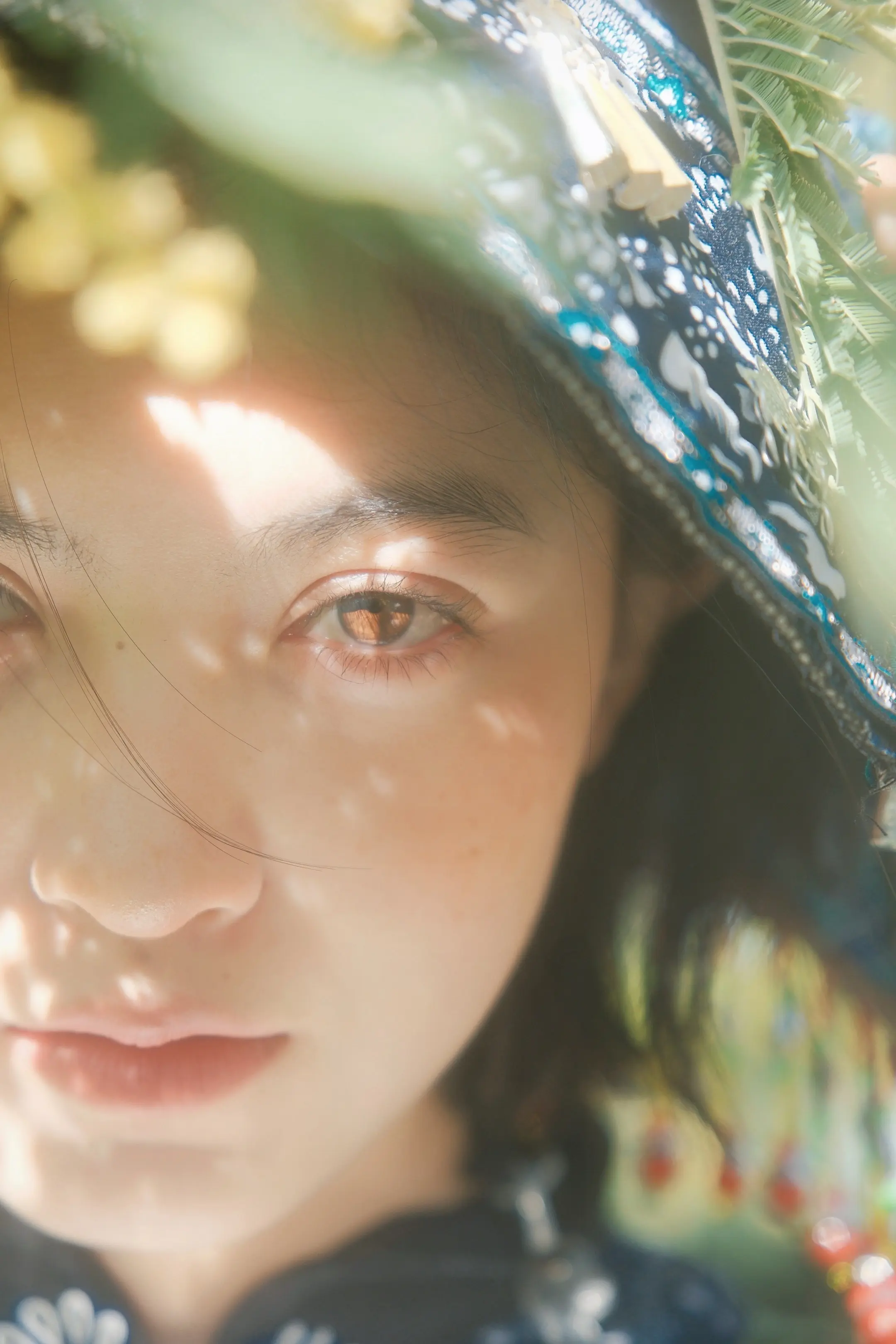 合欢树下 我是我的春天。