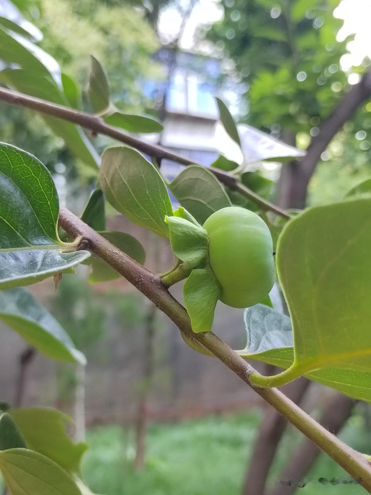 我支持！
几十年前我结婚，我们双方都做了婚检。
我身边有一个例子，就是因为没做婚