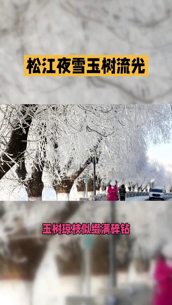 松江夜雪玉树流光。
松江夜雪玉树流光。隆冬时节的吉林市因一江不冻的松花江生出独一