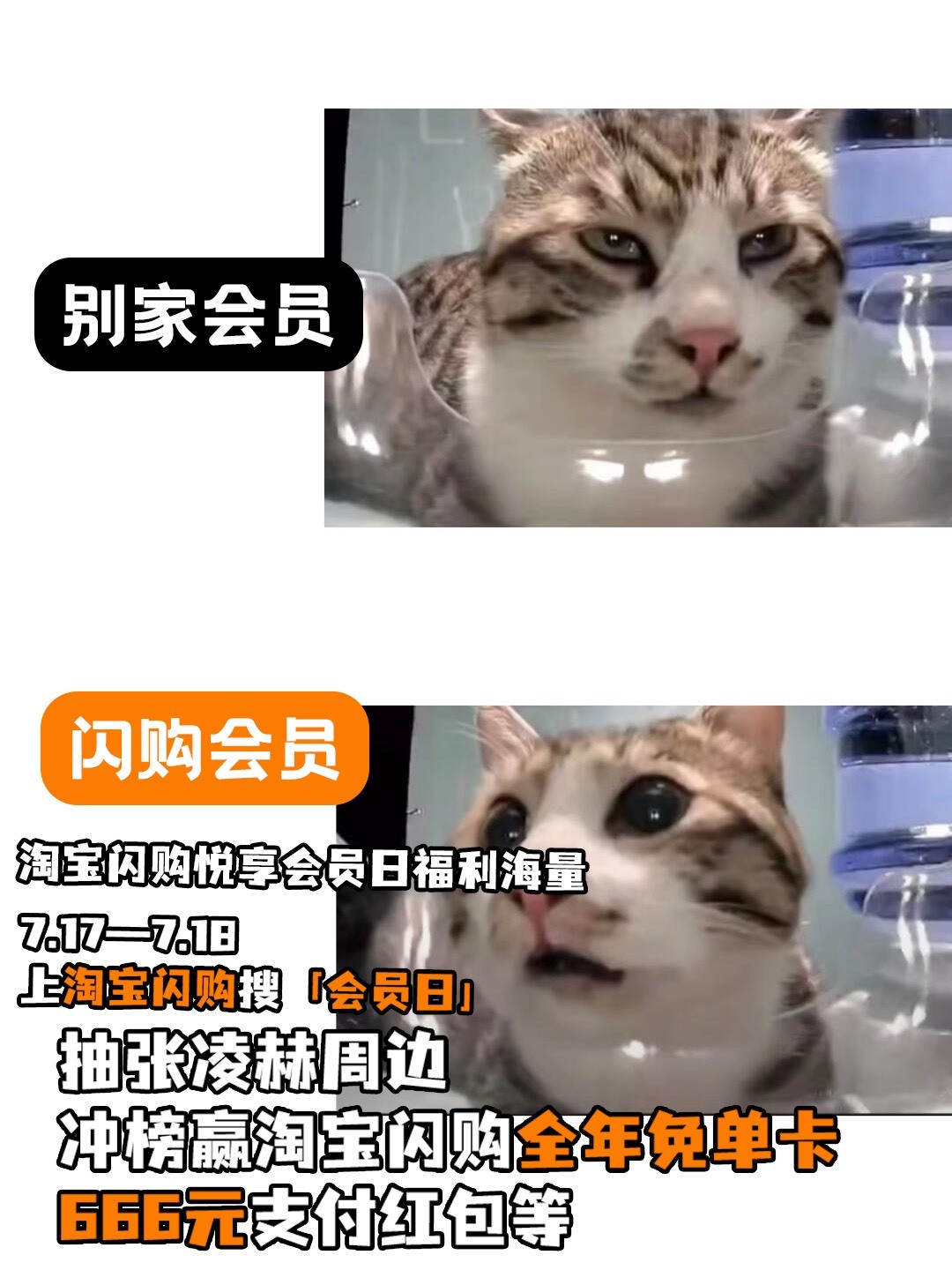 淘宝闪购会员日每月17日解锁专属权益美团会员外卖会员美团神券居家看球美食7月17