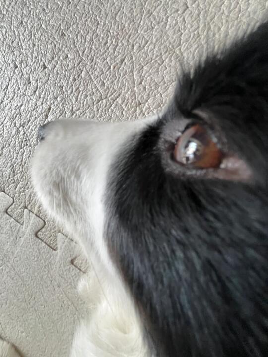 盯👀