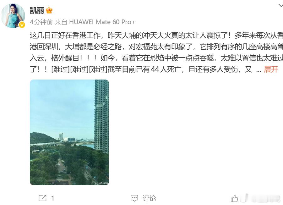 张凯丽为香港同胞祈福 这数字背后都是一个个有妻儿老小的家庭，一个个血肉之躯啊！！