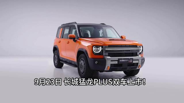 长城猛龙PLUS双车齐发，方盒子颜王来了！#长城猛龙PLUS力魂版上市##长城猛龙PLUS#