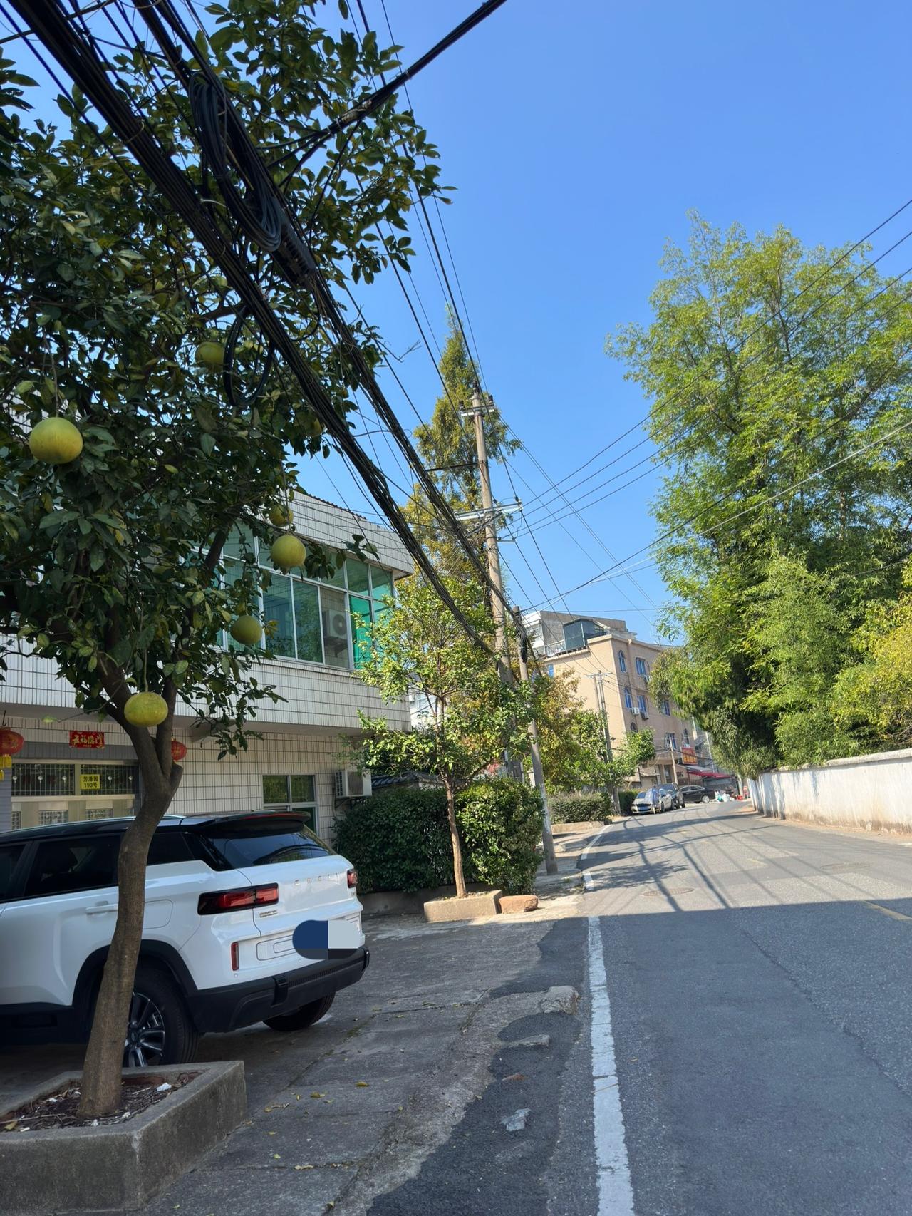 眼下，这块区域城中村的风景：房前屋后瓜果香，马家柚成熟了！不知道今年的马家柚好吃