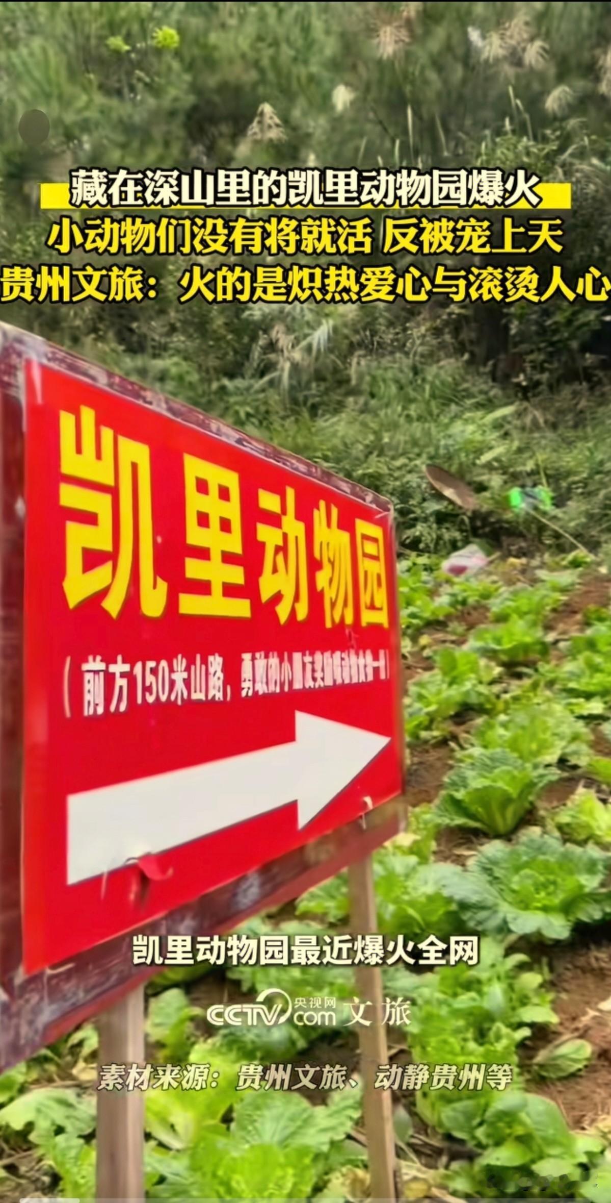 这下，藏在深山里的动物园火了！
---凯里动物园。[鼓掌][鼓掌]

这座动物园