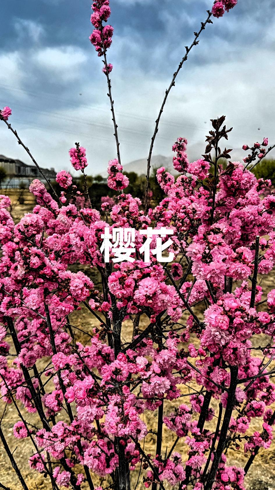 晒图笔记大赛带定位晒今日生活 晒回家的票赢好礼 生活 夏日生活打卡季 春日生活打