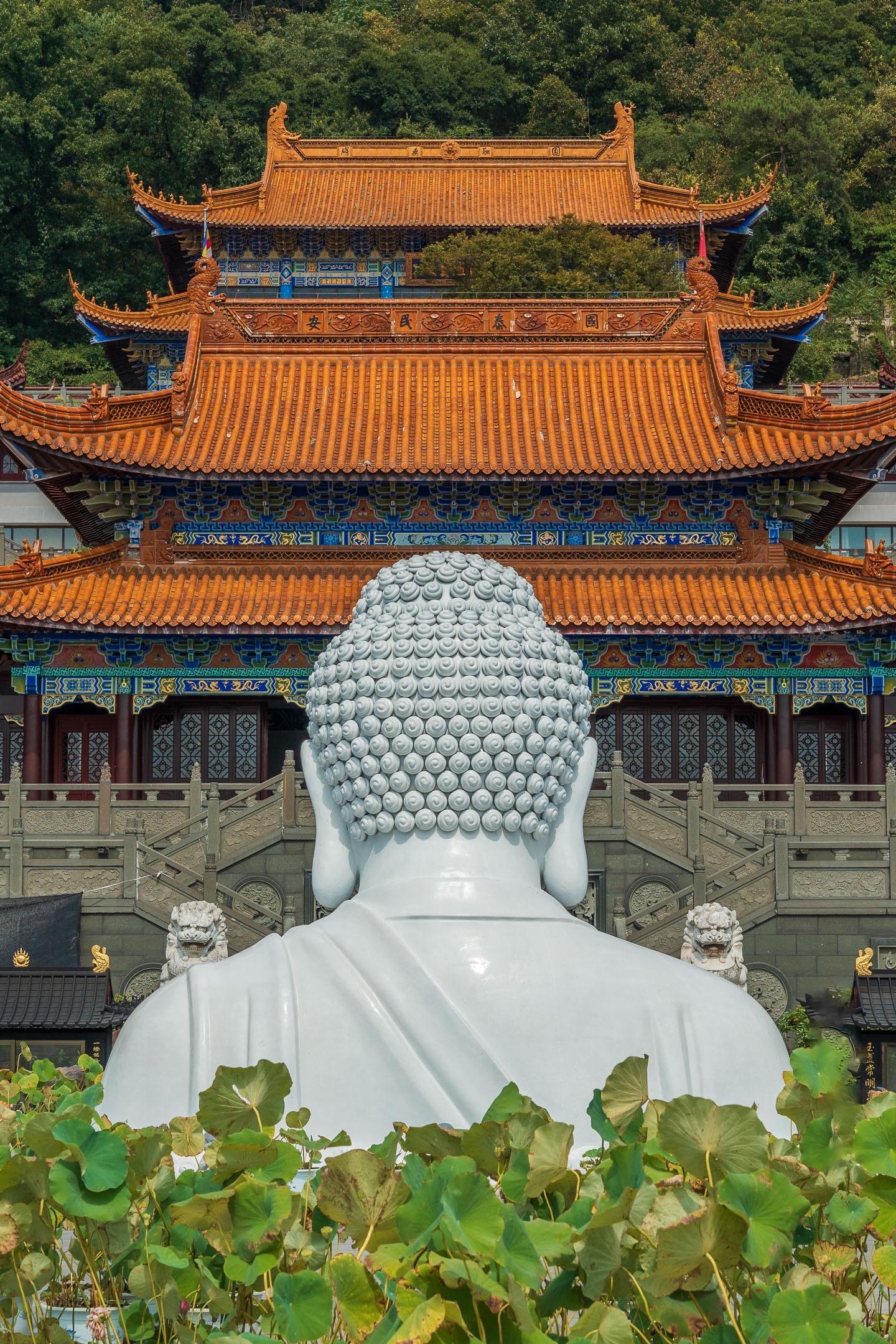 想看看大家拍的东庐山观音寺 半身佛太震撼了
