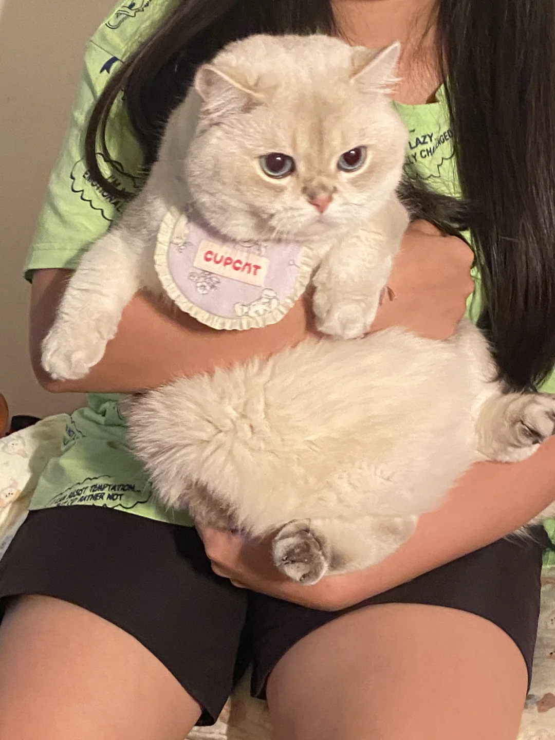 讨厌没有边界感的人类！