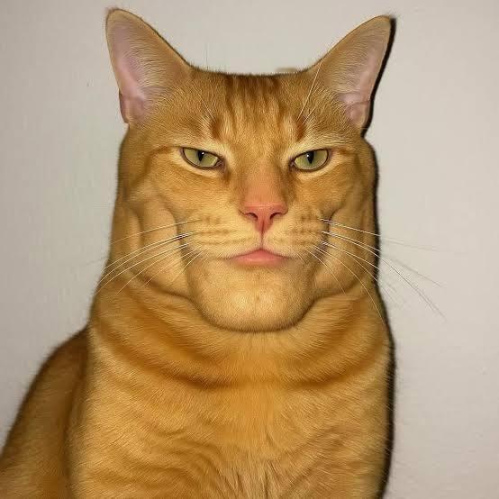 「DLSS 5」相关梗图合集，有点诡异了游戏趣图