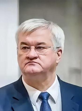 乌克兰外交部副部长最近来中国，说是要谈合作的事儿，但聊起当年"马达西奇被抢"那档