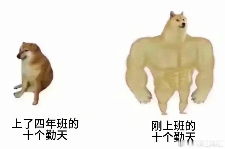 十个勤天刚上班vs上班四年种地吧 成长写在日常劳作里！十个勤天初来时大胆尝试不怕