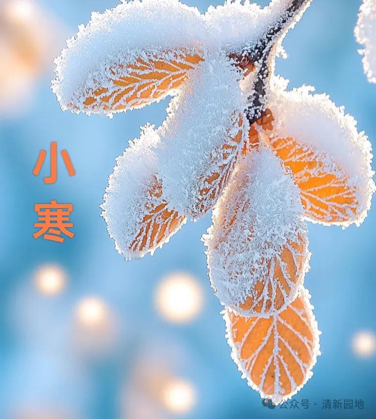 小寒时节，冷气积久而寒，进入一年中最冷的时候，注意防寒保暖😊