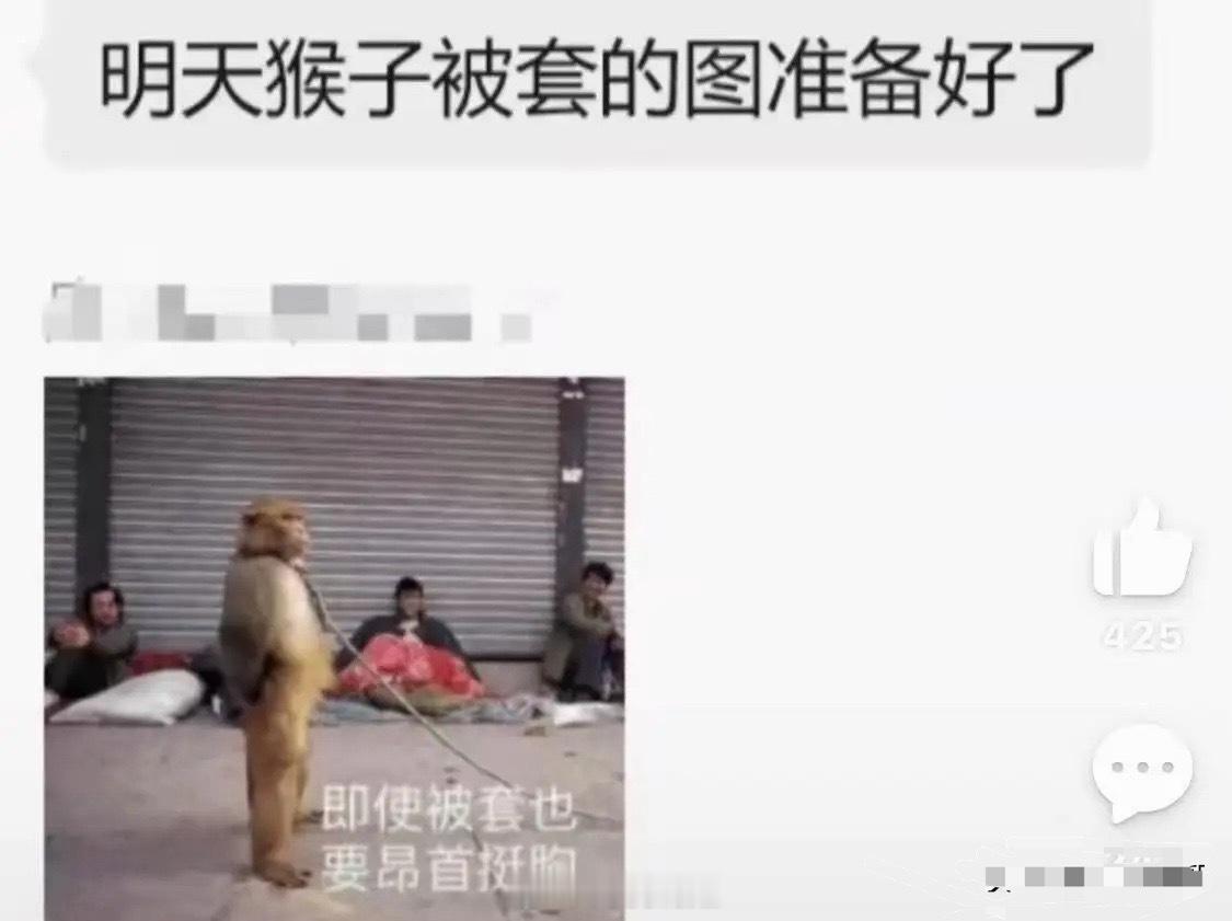 全网最完整「猴模块」炒作体系！猴子 = 存储CXO = 光模块MNC = CSP