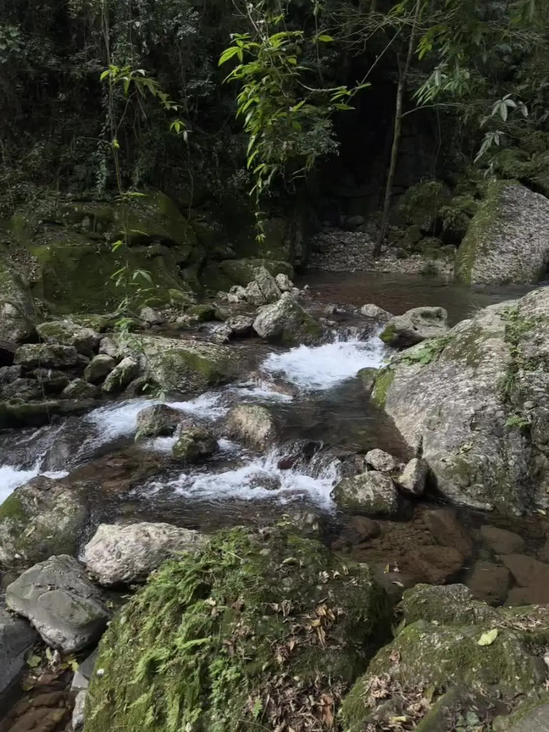 感觉自己好像本来就应该呆在这里