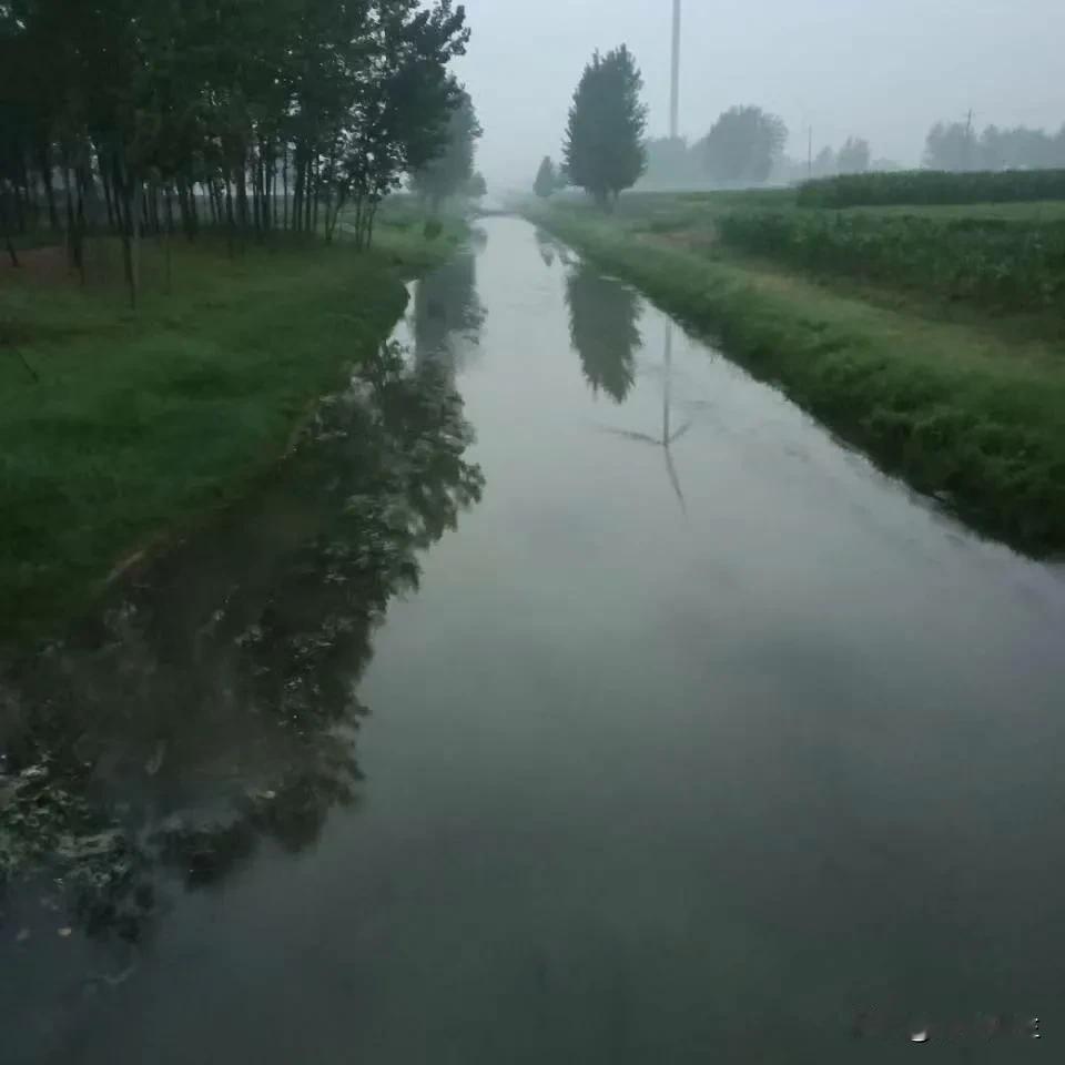 《卢海北地大河》

它静静地流淌了百年
无人记得
它曾经的容颜

两岸绿油油的场